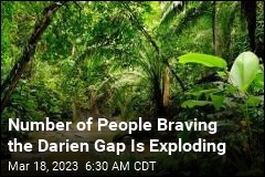 In Quest to Enter US, Many Brave the Perilous Darien Gap