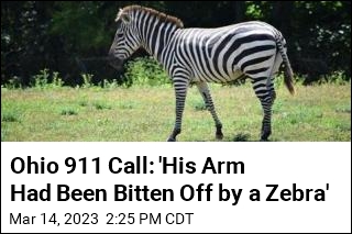 Ohio 911 Call: &#39;His Arm Had Been Bitten Off by a Zebra&#39;