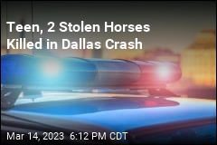 Teen, 2 Stolen Horses Killed in Dallas Crash