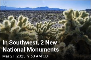 National Monument to Preserve &#39;Point of Mojave Creation&#39;