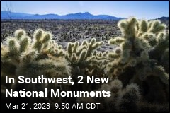 National Monument to Preserve &#39;Point of Mojave Creation&#39;