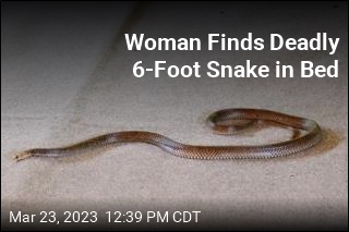 Woman Finds Deadly 6-Foot Snake in Bed