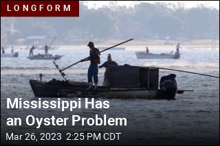 Mississippi Has an Oyster Problem