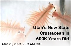 This Ancient Creature Is Now Utah&#39;s State Crustacean