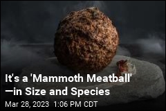 It&#39;s a &#39;Mammoth Meatball&#39; &mdash;in Size and Species