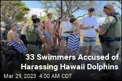 33 Swimmers Accused of Harassing Dolphins in Hawaii
