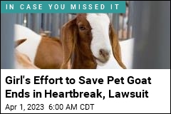 Girl&#39;s Effort to Save Pet Goat Ends in Heartbreak, Lawsuit