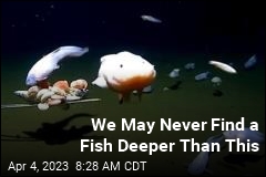 We May Never Find a Fish Deeper Than This