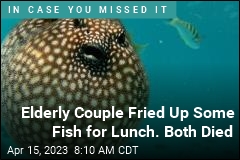 Elderly Couple Fried Up Some Fish for Lunch. Both Died