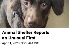 Animal Shelter Reports a Shocking First
