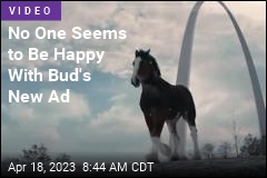 Amid Backlash, Budweiser Breaks Out the Clydesdale