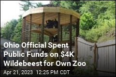 Ohio Official Spent Public Funds on $4K Wildebeest for Own Zoo