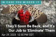 They&#39;ll Soon Be Back, and It&#39;s Our Job to &#39;Eliminate&#39; Them