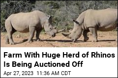 For Sale: More Than 10% of the World&#39;s White Rhinos