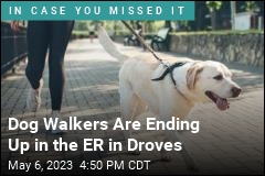 Dog Walkers Are Ending Up in the ER in Droves