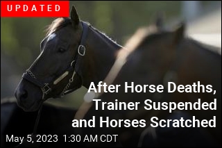 4 Horses Die Ahead of Kentucky Derby: &#39;It Doesn&#39;t Make Sense&#39;