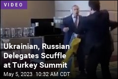 Ukrainian, Russian Delegates Scuffle at Turkey Summit