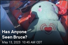 Has Anyone Seen Bruce?