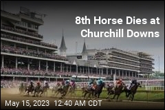 8th Horse Dies at Churchill Downs