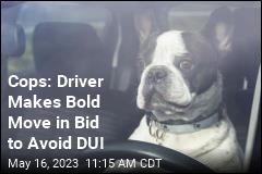 Cops: Alleged Drunk Driver Suggests Dog Was Driving