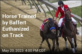 3-Year-Old Colt Euthanized on Track Before Preakness
