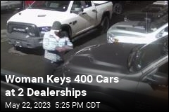 Woman Keys Hundreds of Cars at 2 Dealerships