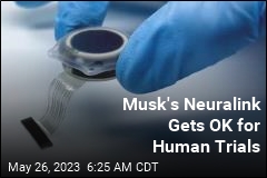 Musk&#39;s Neuralink Can Now Put Implants in Human Brains