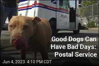 Good Dogs Can Have Bad Days: Postal Service