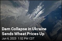 Price of Wheat Jumps After Dam Collapse in Ukraine