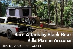 Rare Attack by Black Bear Kills Man in Arizona