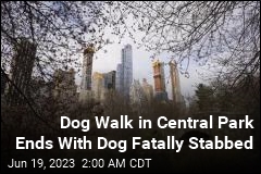Dog Walk in Central Park Ends With Dog Fatally Stabbed