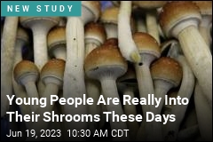 Young People Are Really Into Their Shrooms These Days