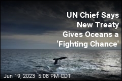 New UN Treaty Protects High Seas Marine Life