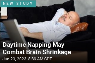 Daytime Napping May Combat Brain Shrinkage