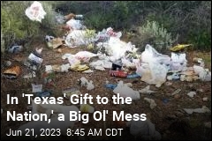 In &#39;Texas&#39; Gift to the Nation,&#39; a Big Ol&#39; Mess