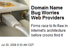 Domain Name Bug Worries Web Providers