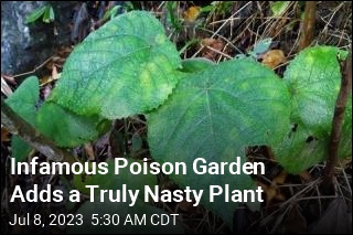 Infamous Poison Garden Adds &#39;Most Painful Plant&#39; on Planet