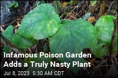 Infamous Poison Garden Adds &#39;Most Painful Plant&#39; on Planet