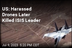 US: Harassed Drones Later Killed IS Leader