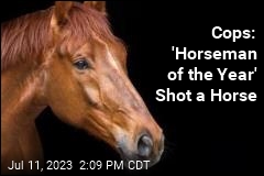 &#39;Horseman of the Year&#39; Allegedly Shot a Horse