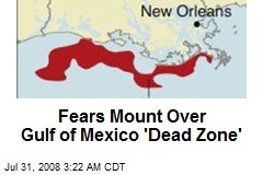 Fears Mount Over Gulf of Mexico 'Dead Zone'