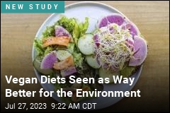 Vegan Diets Seen as Way Better for the Environment