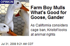 Farm Boy Mulls What's Good for Goose, Gander