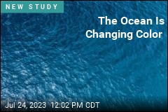 The Ocean Is Changing Color