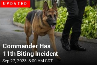 Biden&#39;s Dog Keeps Biting Secret Service Officers