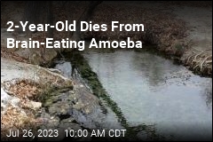 Brain-Eating Amoeba Kills 2-Year-Old in Nevada