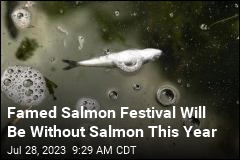 Famed Salmon Festival Will Be Without Salmon This Year