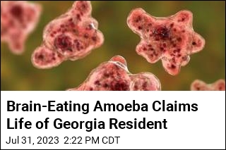 Brain-Eating Amoeba Claims 3rd Victim of Year