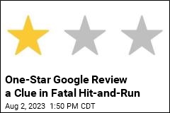 One-Star Google Review a Clue in Fatal Hit-and-Run