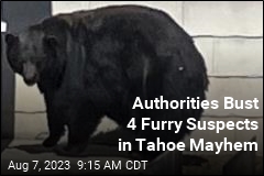 Unusual Suspects Nabbed in Tahoe Break-Ins